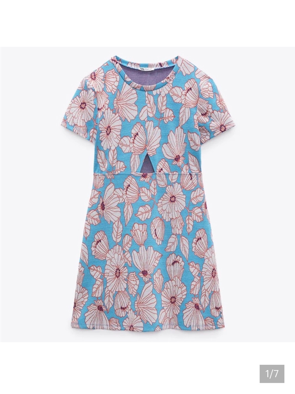 🔥🔥🔥NEW Zara Blue Floral Mini Dress
